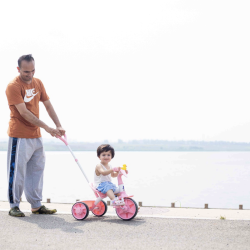 Beyond the Stroller: Why a Tricycle with Handle is a Toddlerhood Essential