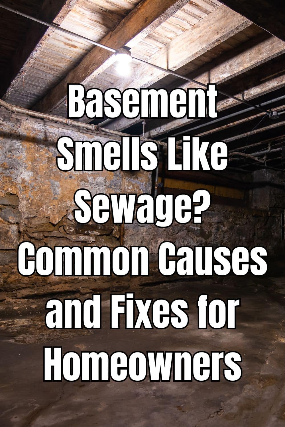 Basement Smells Like Sewage Common Causes and Fixes for Homeowners