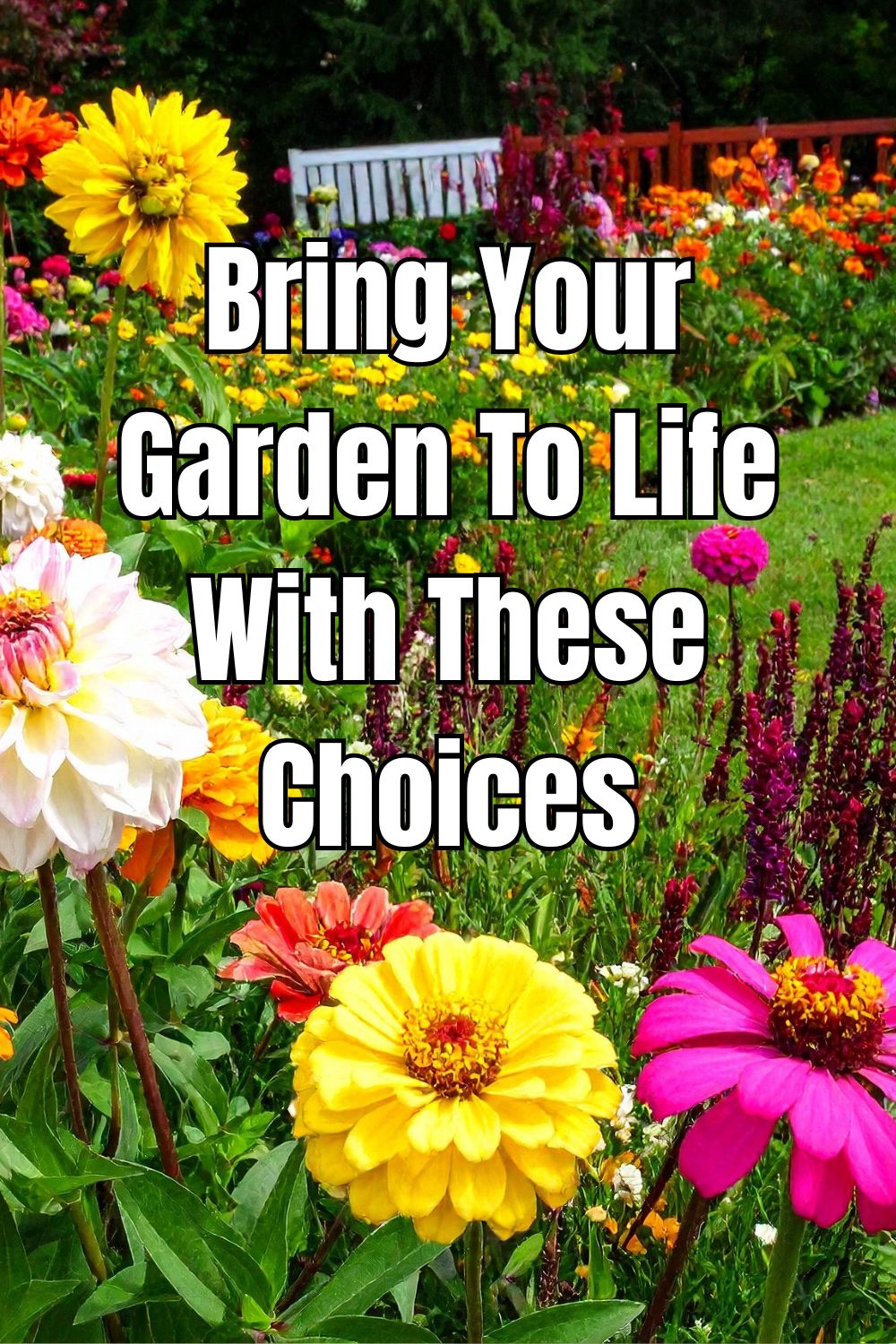 Bring Your Garden To Life With These Choices