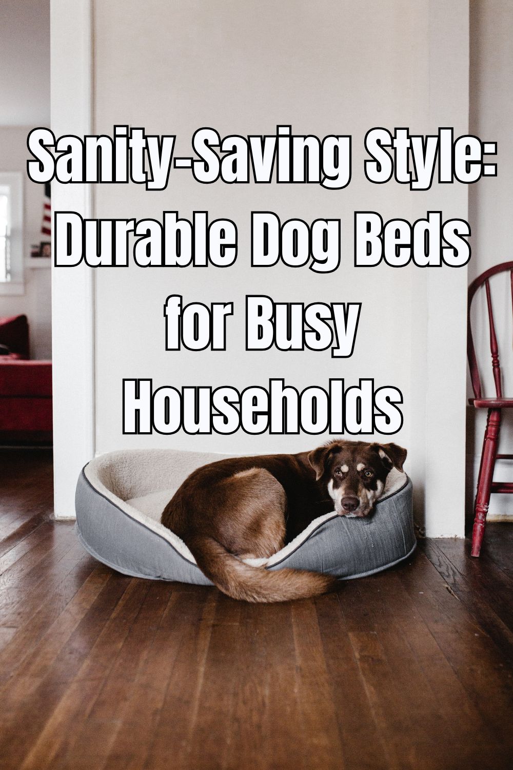 Sanity-Saving Style Durable Dog Beds for Busy Households