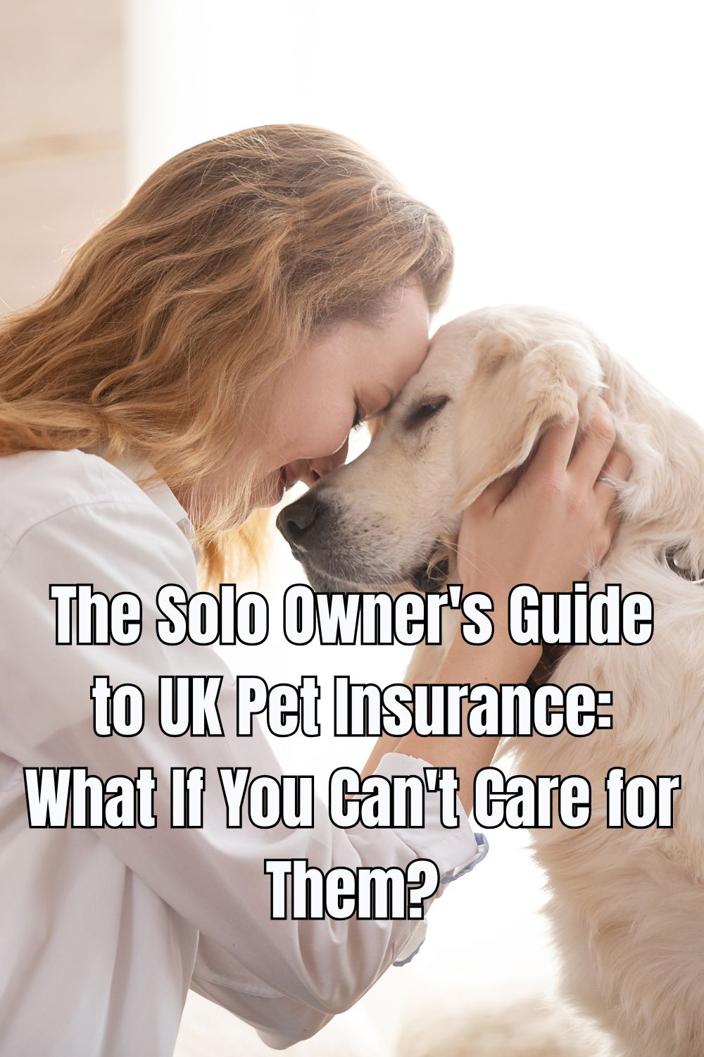 The Solo Owner's Guide to UK Pet Insurance What If You Can't Care for Them