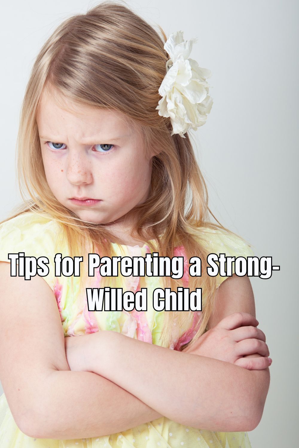 Tips for Parenting a Strong-Willed Child