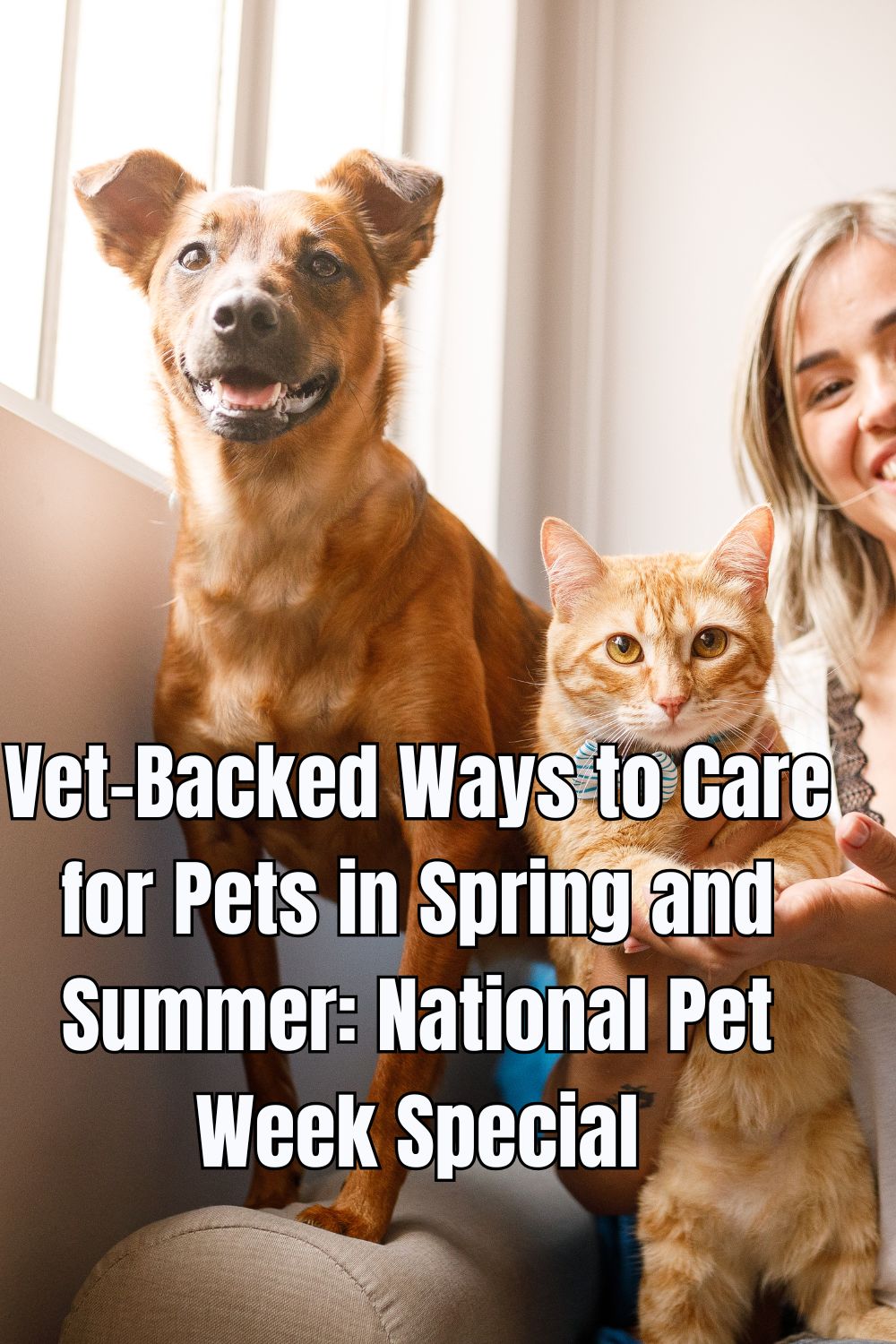 Vet-Backed Ways to Care for Pets in Spring and Summer: National Pet Week Special