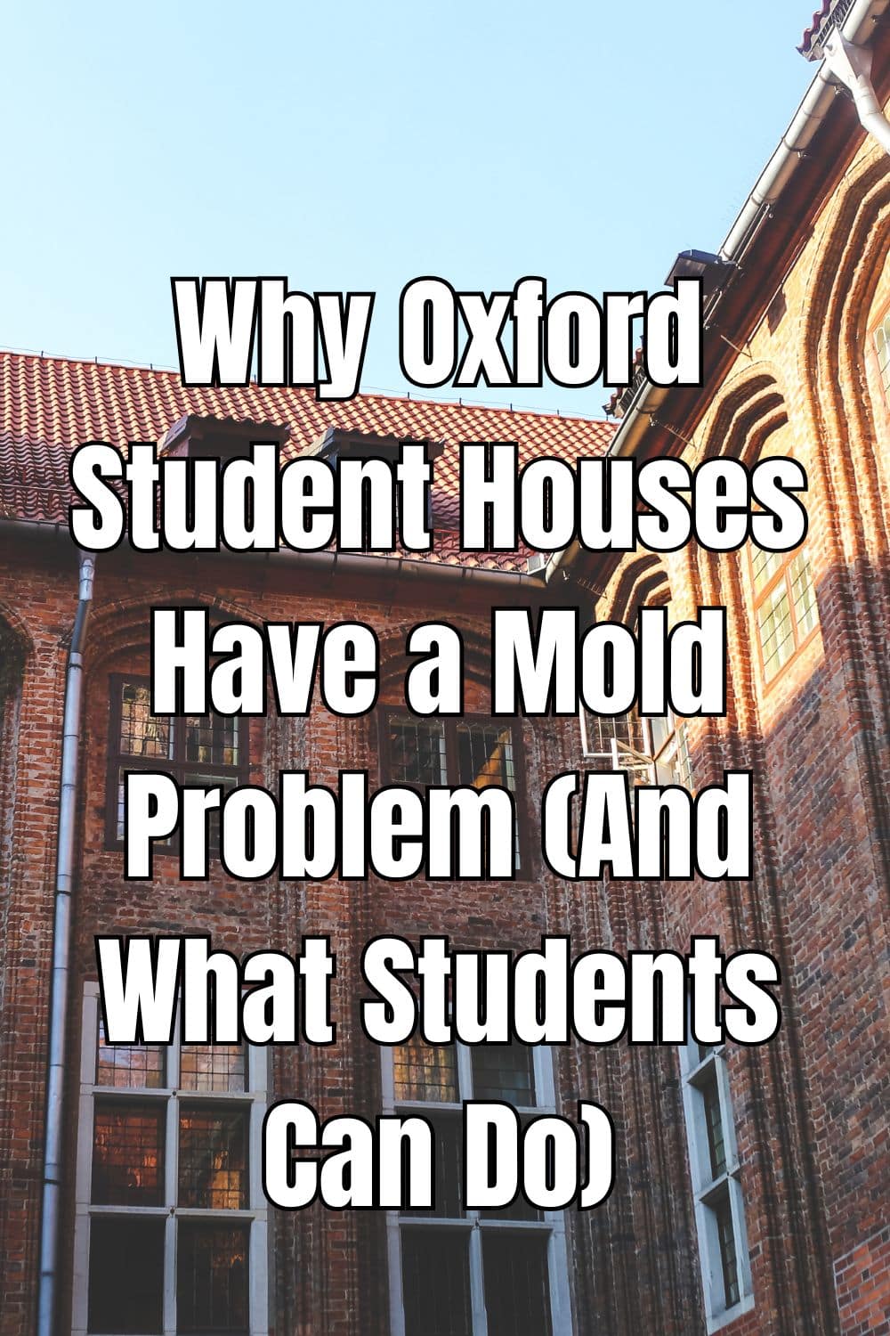 Why Oxford Student Houses Have a Mold Problem (And What Students Can Do)