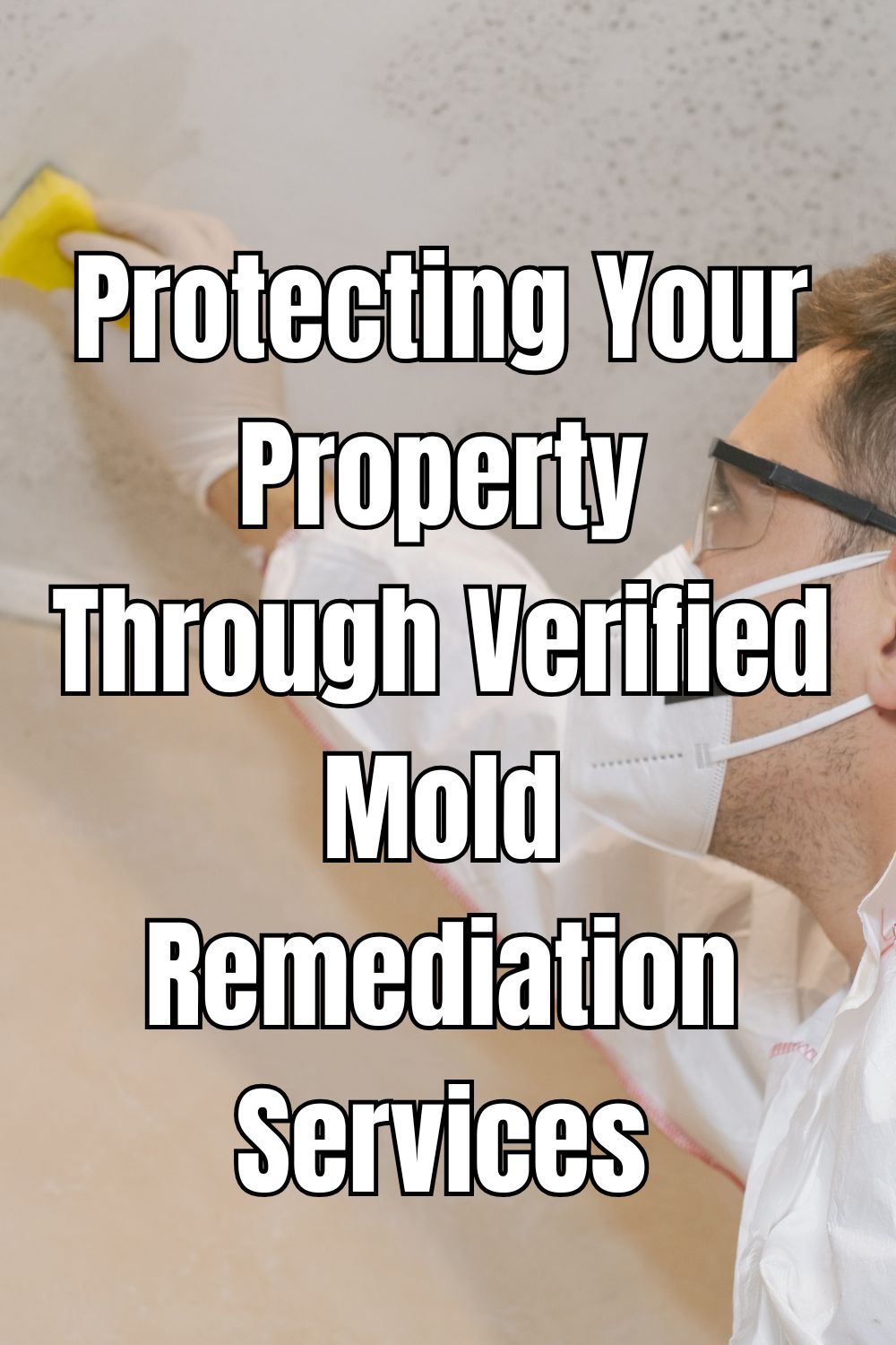 Protecting Your Property Through Verified Mold Remediation Services