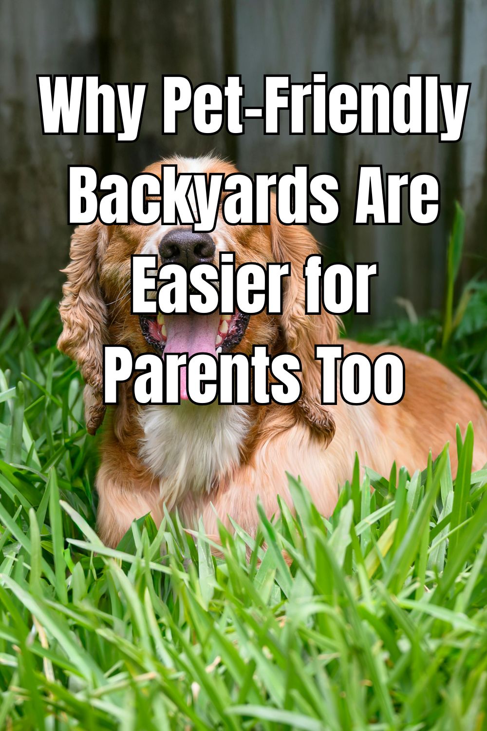 Why Pet-Friendly Backyards Are Easier for Parents Too