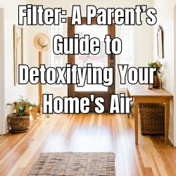 Beyond the HEPA Filter A Parent’s Guide to Detoxifying Your Home's Air