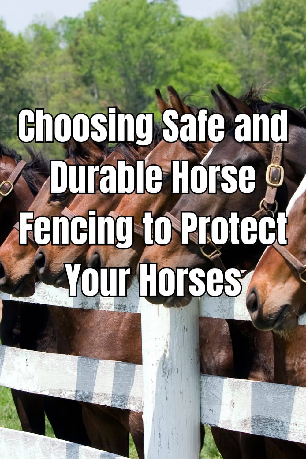 Choosing Safe and Durable Horse Fencing to Protect Your Horses
