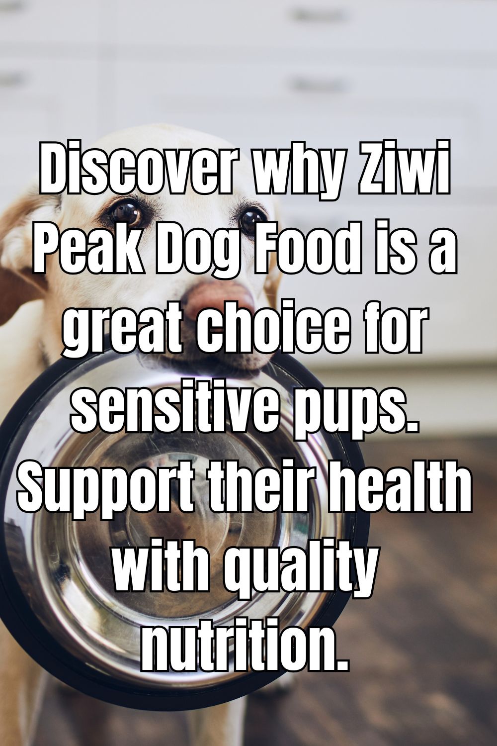Discover why Ziwi Peak Dog Food is a great choice for sensitive pups. Support their health with quality nutrition.