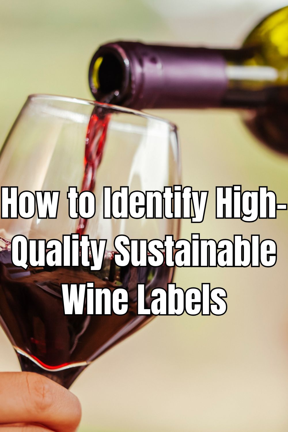 How to Identify High-Quality Sustainable Wine Labels