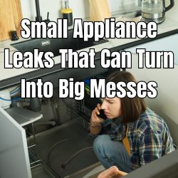 Find out about small appliance leaks that can turn into big messes. Know the signs to prevent costly repairs later.